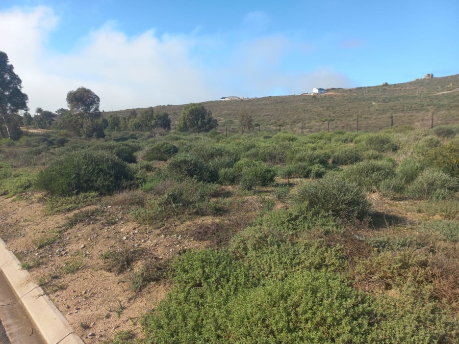 0 Bedroom Property for Sale in Steenbergs Cove Western Cape